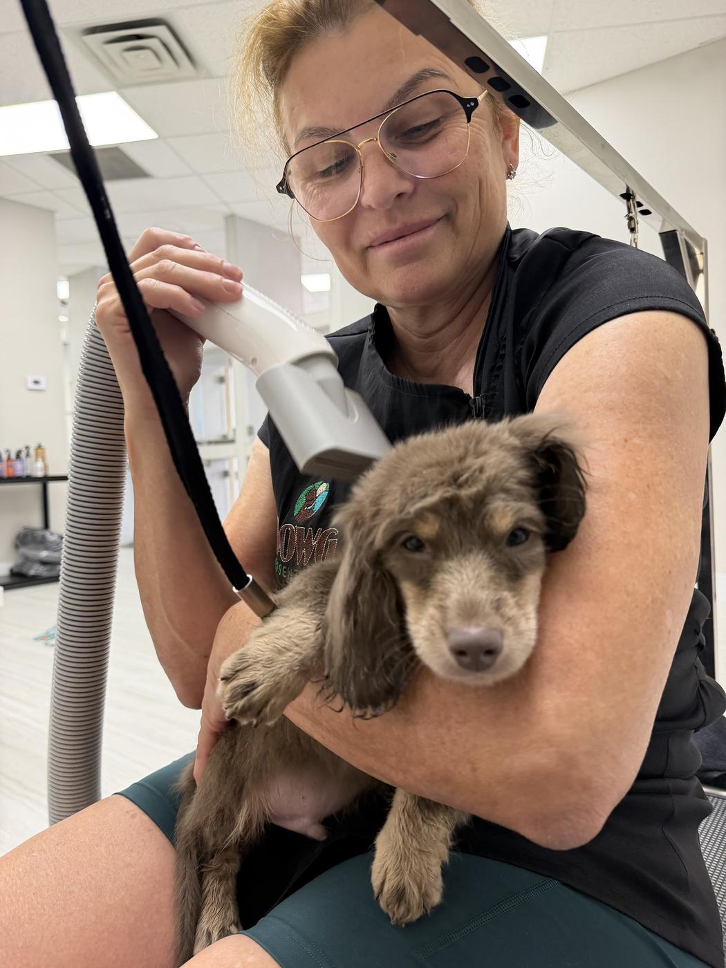 Carla Rodrigues drying a dachshund puppy on the grooming table at ZenSpawt