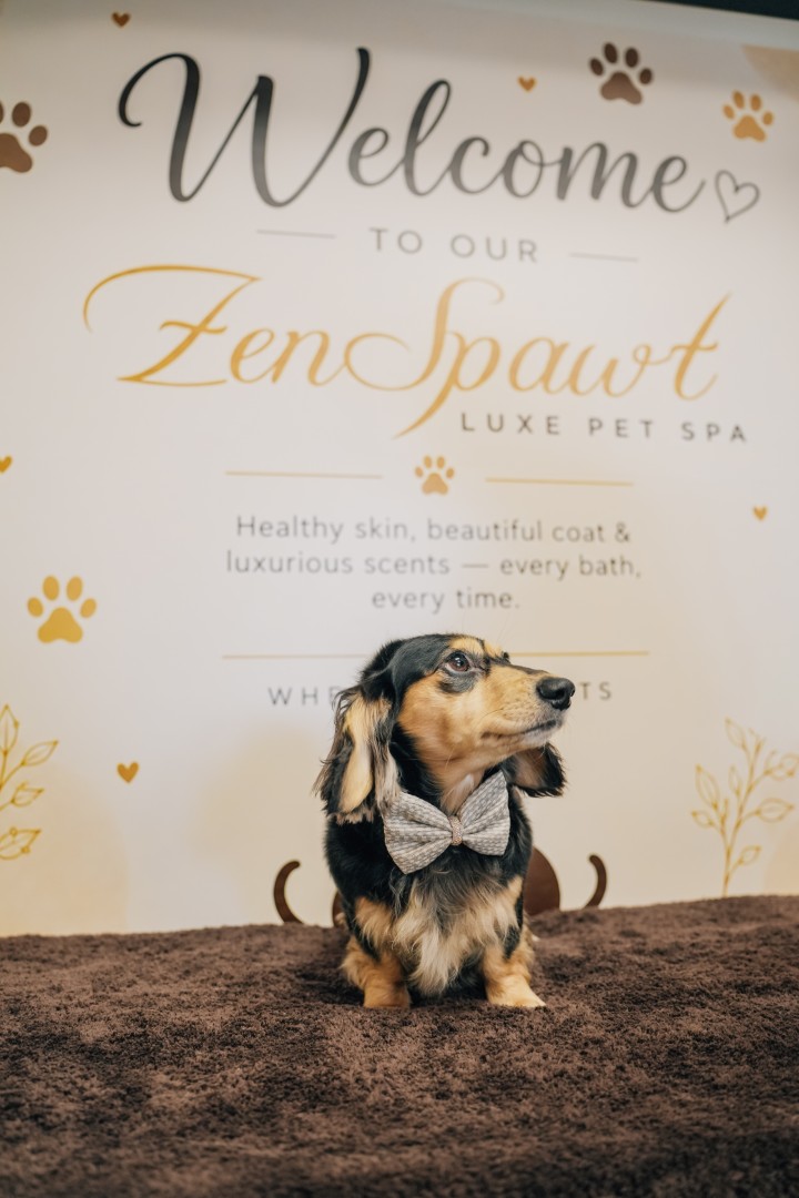 ZenSpawt Luxe Pet Spa (2)